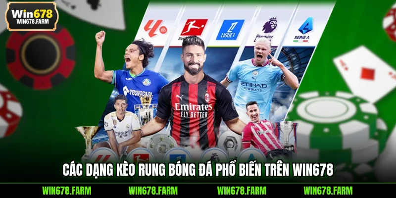 Các dạng kèo rung bóng đá phổ biến trên WIN678