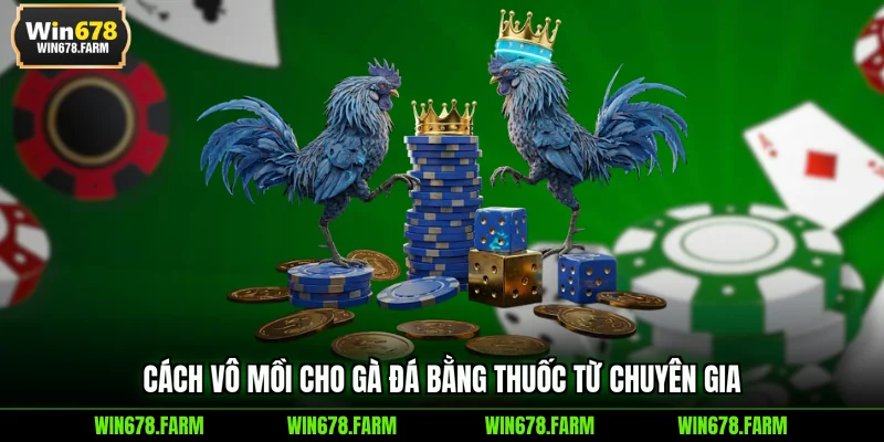 Cách vô mồi cho gà đá bằng thuốc từ chuyên gia