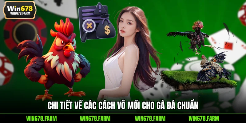 Chi tiết về các cách vô mồi cho gà đá chuẩn