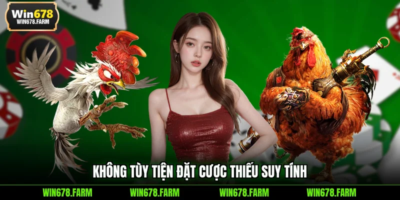 Không tùy tiện đặt cược thiếu suy tính